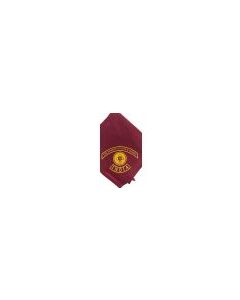 SCOUT Scarf