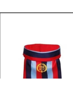 NCC SCARF