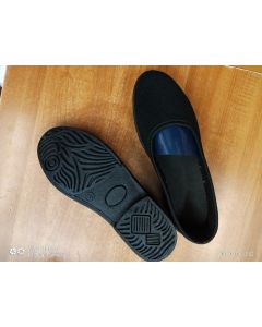 SRUTI LADIES CANVAS