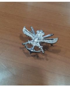 TEXCO CAP BADGE1